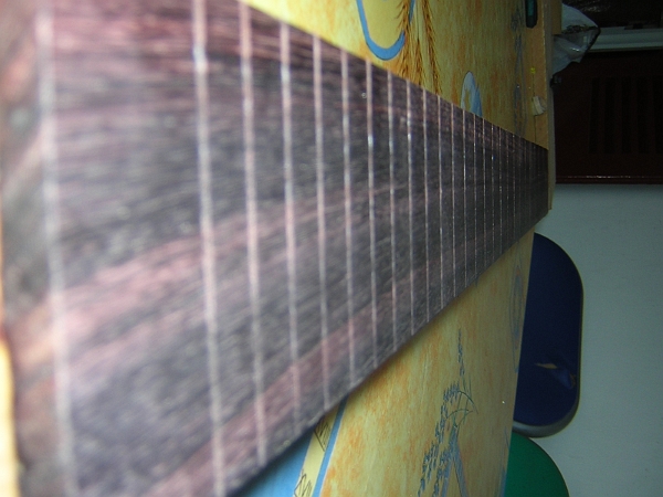 vus d'ensemble de la touche.JPG